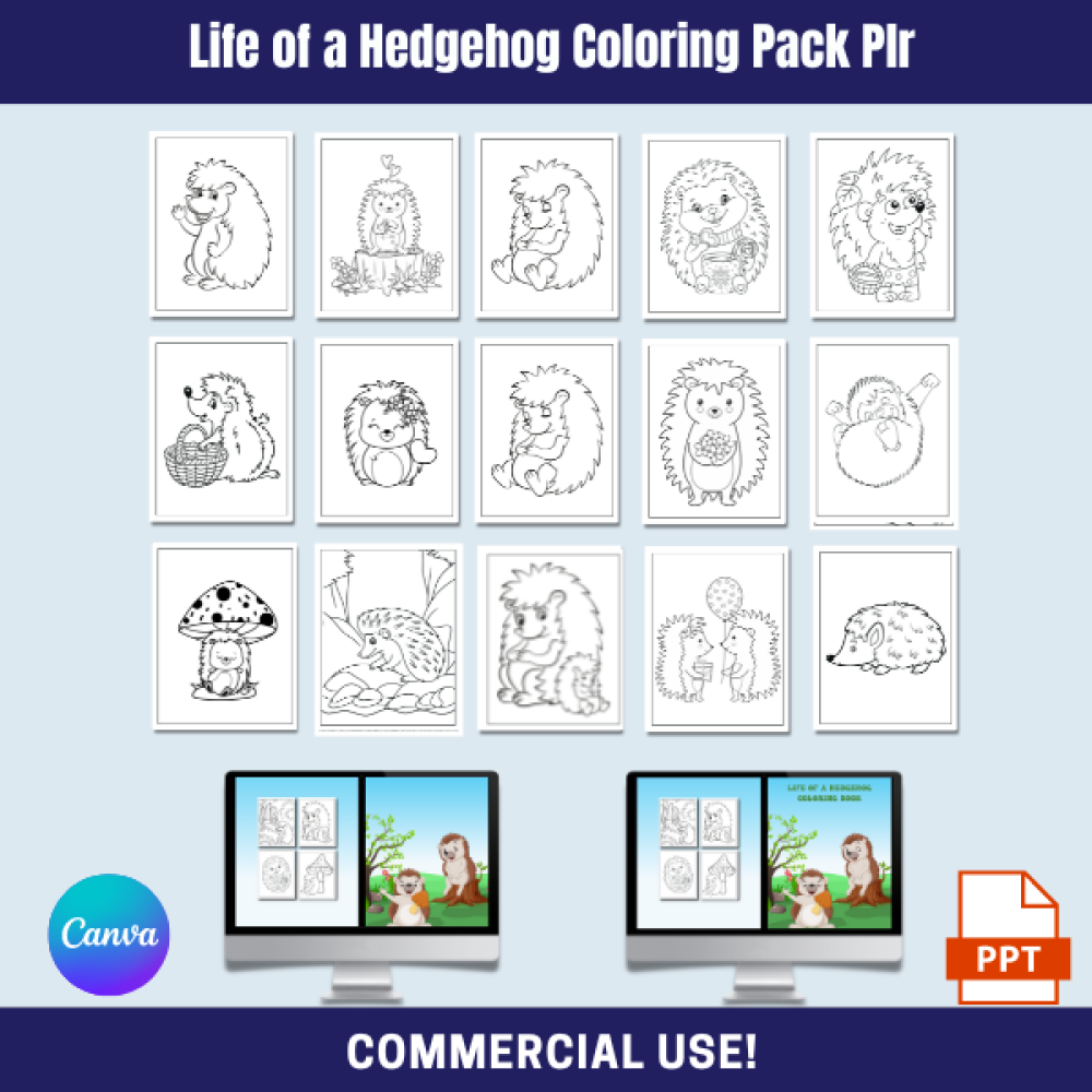 DFY Life of a Hedgehog Coloring Pack PLR