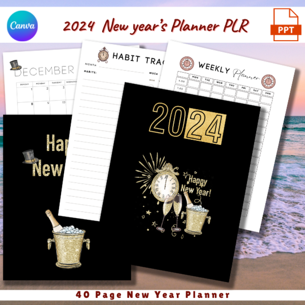 2024 New Year Planner PLR