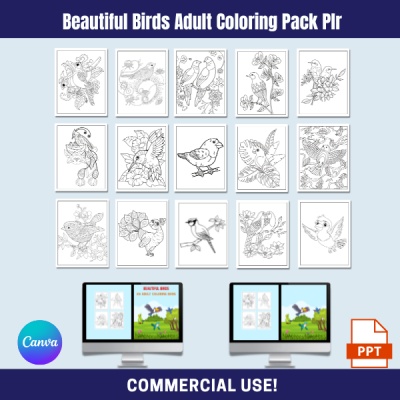 Beautiful Birds Coloring Pack PLR