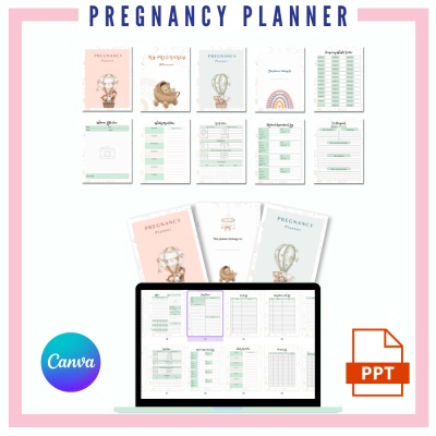 DFY Boho Pregnancy Planner PLR