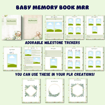 The Little Moments: A Baby Memory Book MRR